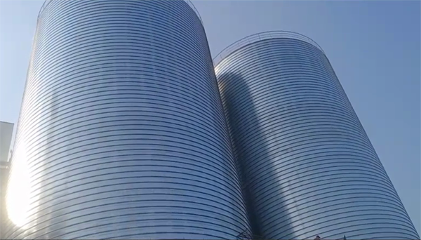 江陵2座混凝土高架卷板仓